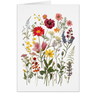 Wildflower Greeting Card All Occasion Blank