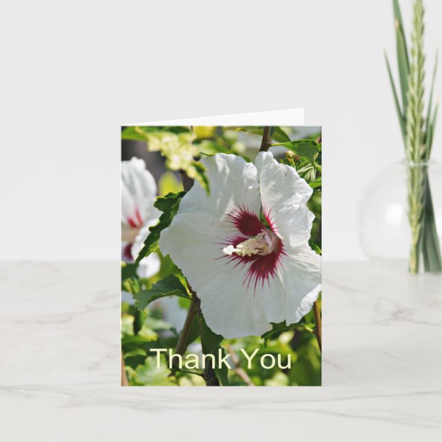 Wildflower Hibiscus, Thank You Card (Front)
