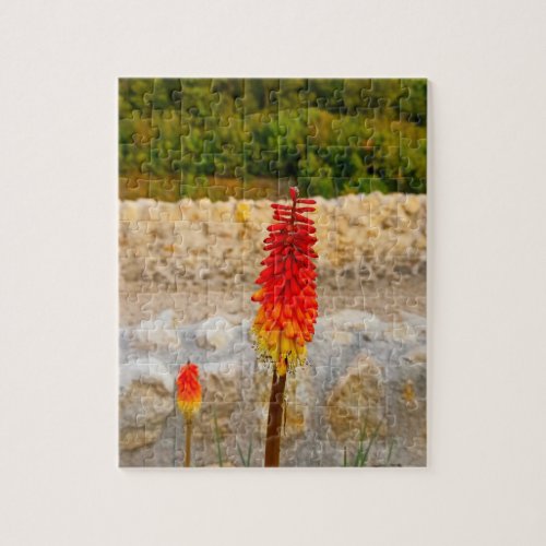 Wildflower & Historic Ruins Custom Jigsaw Puzzle