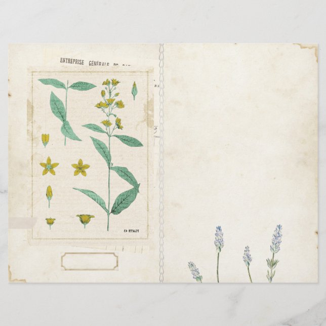 Wildflower Junk Journal Page Front/Back Vintage (Front)