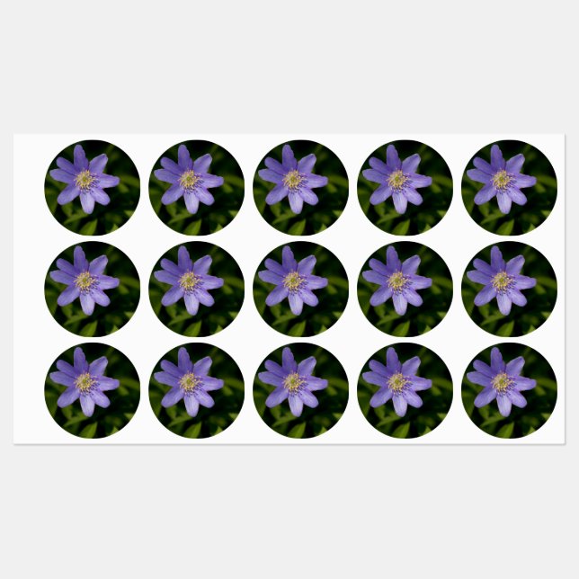 Wildflower Labels (Sheet)