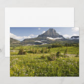 Wildflower Meadow (Front/Back)