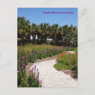 Wildflower Meadow Naples Botanical Garden Florida Postcard