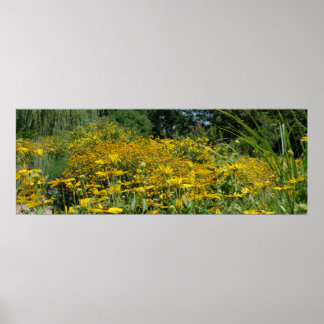Wildflower Meadow Panoramic Poster