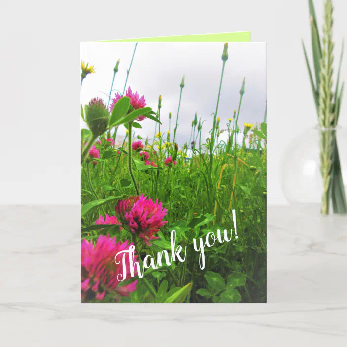 Square Card Flower Garland Birthday Card Blank Card Greeting Card Flowers Card Celebrate Wildflowers Card Beautiful Birthday