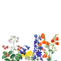 Wildflower Meadow Spring Floral Colorful Wedding