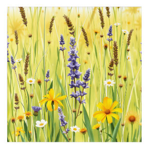 Wildflower Meadow Summer Pattern Acrylic Print
