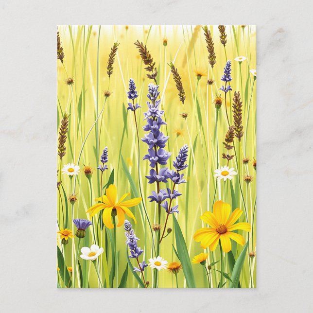 Wildflower Meadow Summer Pattern Postcard (Front)