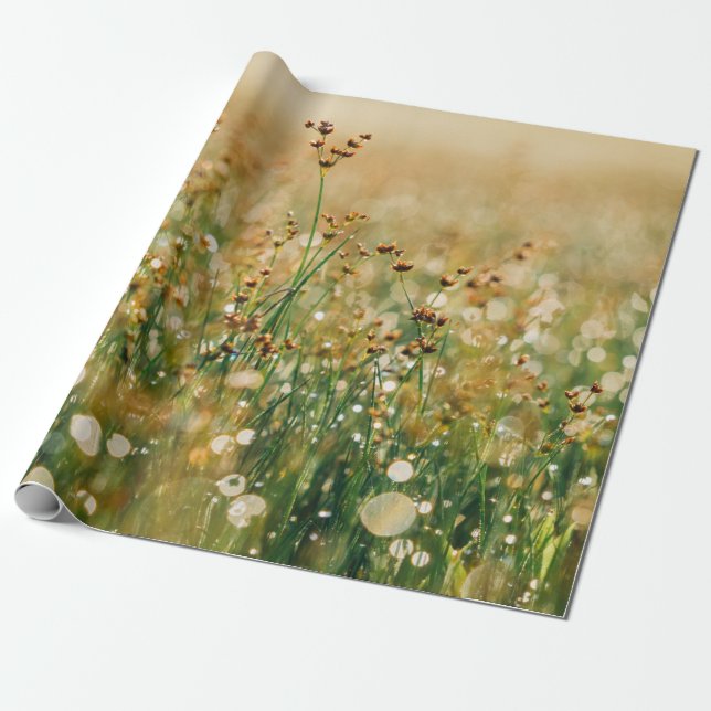 Wildflower meadow wrapping paper (Unrolled)