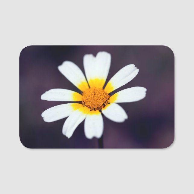 Wildflower Name Tag (Front)