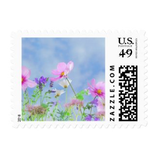 Wildflower Postage Stamp