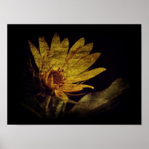 Wildflower Poster
