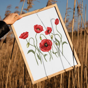 Wildflower Red Poppy Floral Room Decor