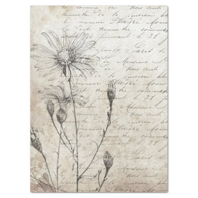 WILDFLOWER SCRIPT TISSUE PAPER