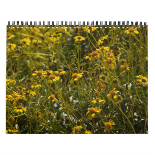 Wildflower Scripture Calendar