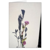 Wildflower Shadow 2014 (Front)