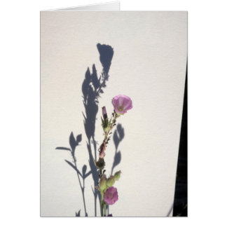 Wildflower Shadow  2014 Cards