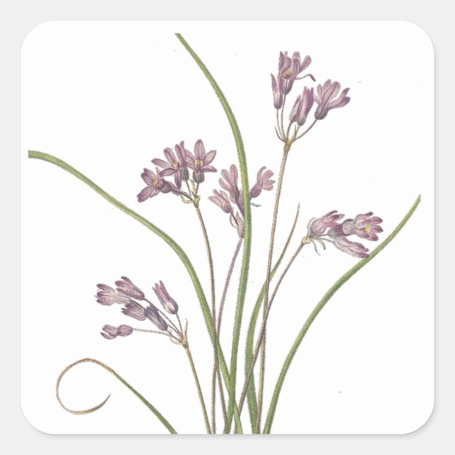 Wildflower stickers (Front)