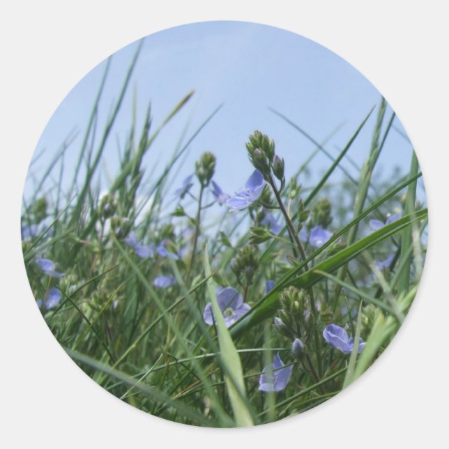 Wildflower Stickers (Front)