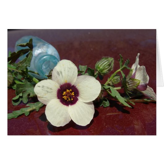 Wildflower Still Life Cards (Front Horizontal)