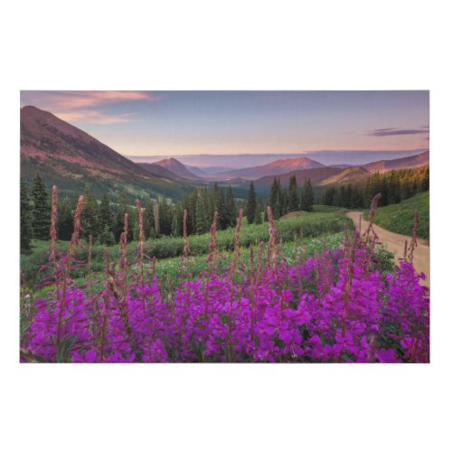 Wildflower Sunrise  Crested Butte Colorado Faux Canvas Print