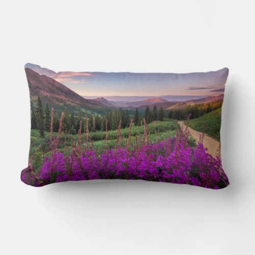 Wildflower Sunrise  Crested Butte Colorado Lumbar Pillow