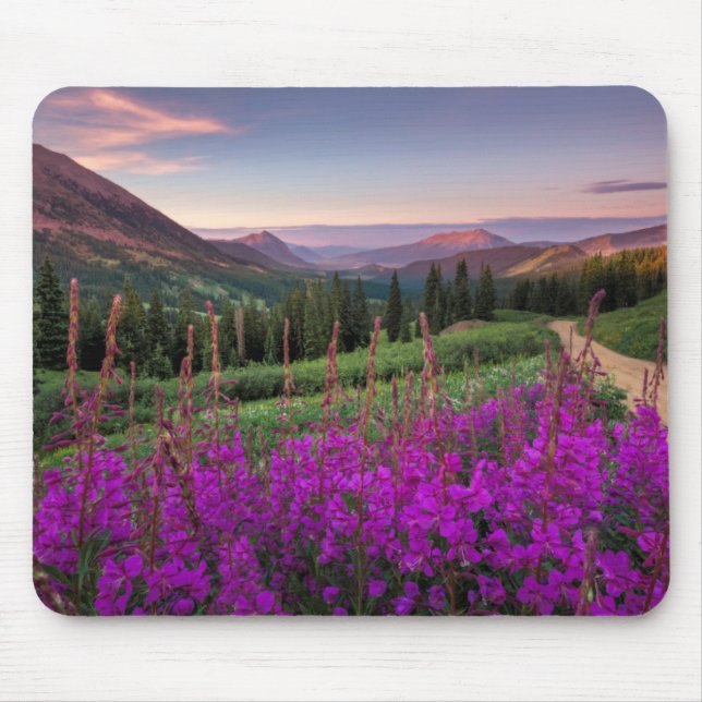 Wildflower Sunrise | Crested Butte, Colorado Mouse Pad (Front)
