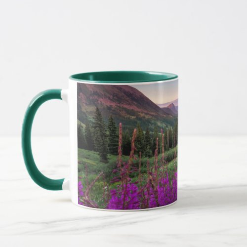 Wildflower Sunrise  Crested Butte Colorado Mug