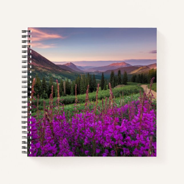 Wildflower Sunrise | Crested Butte, Colorado Notebook (Front)