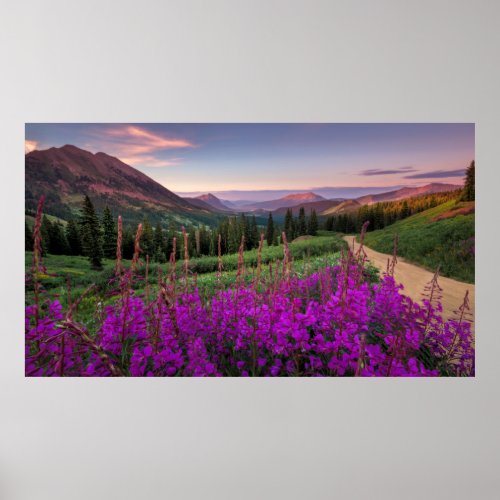 Wildflower Sunrise  Crested Butte Colorado Poster