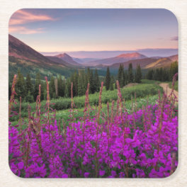 Wildflower Sunrise Crested Butte, Colorado Square Paper Coaster
