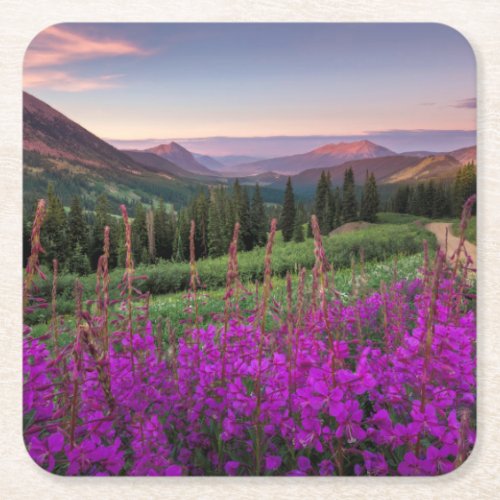 Wildflower Sunrise  Crested Butte Colorado Square Paper Coaster