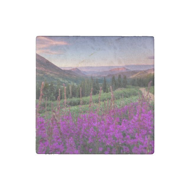 Wildflower Sunrise | Crested Butte, Colorado Stone Magnet (Front)