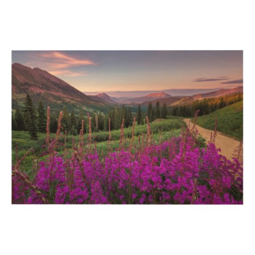 Wildflower Sunrise  Crested Butte Colorado Wood Wall Art