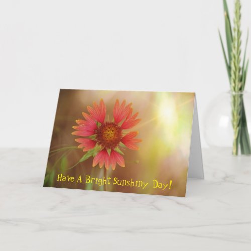 Wildflower Sunshine Thinking About You Card