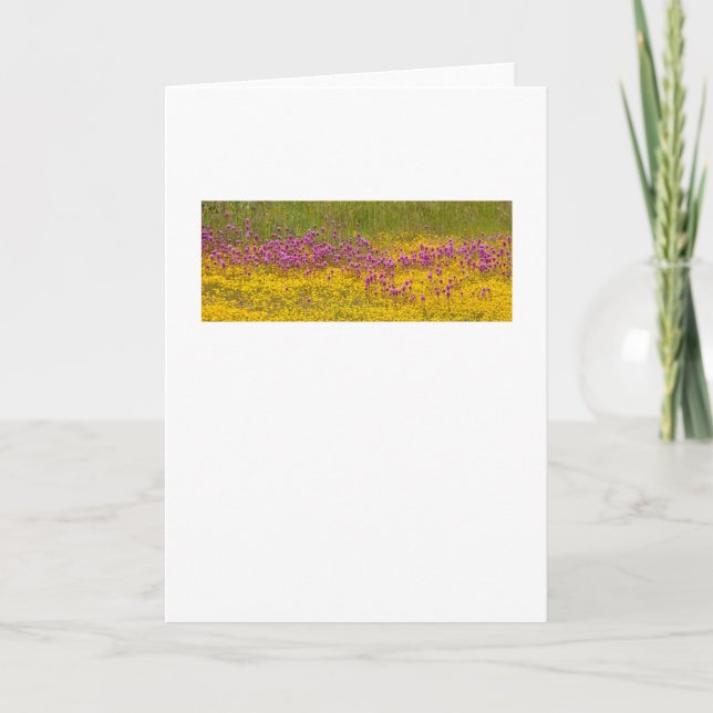 Wildflower Superbloom Greeting Card (Front)
