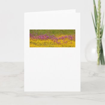 Wildflower Superbloom Greeting Card by Aquanauts at Zazzle