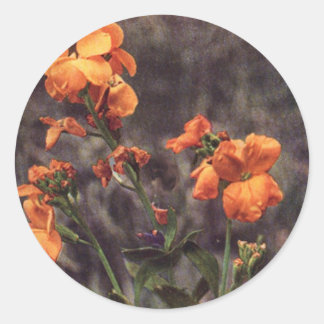 Wildflower: Wallflower Classic Round Sticker