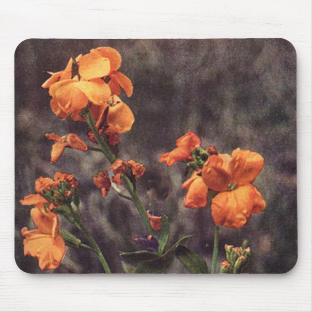 Wildflower: Wallflower Mouse Pad (Front)