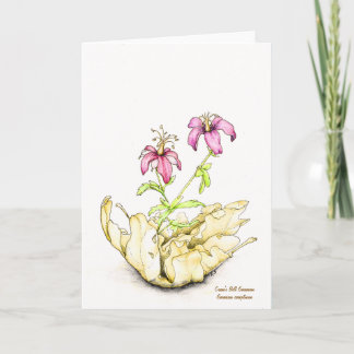 Wildflower watercolor geranium blank inside card
