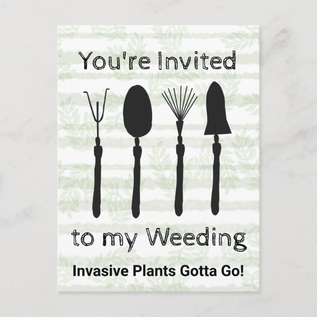 Wildflower Week Invitation Postcard (Front)