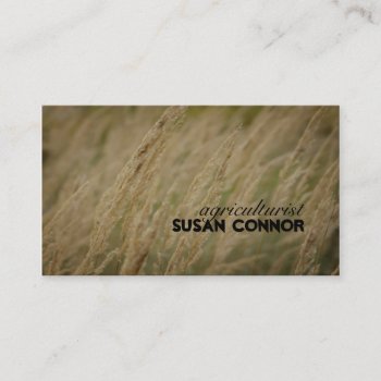 Wildflower Wind Song Agriculturist Business Card by GetArtFACTORY at Zazzle