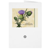 Wildflower Wishes Cards (Back)