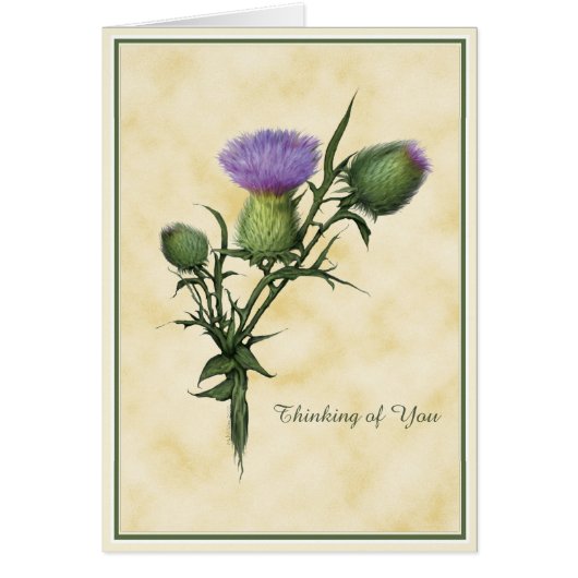 Wildflower Wishes Cards (Front)