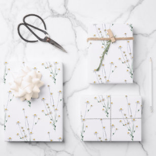 NEW! Wildflower Fields Wrapping Paper – Paper Raven Co.