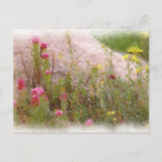 WILDFLOWERS 1 POSTCARD