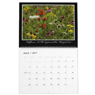 Wildflowers 2017 Calendar By Thomas Minutolo