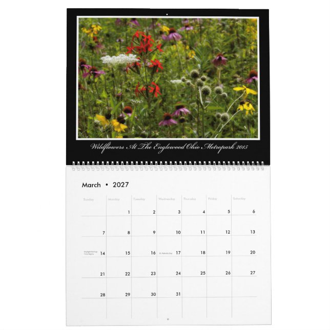 Wildflowers 2017 Calendar By Thomas Minutolo (Mar 2027)