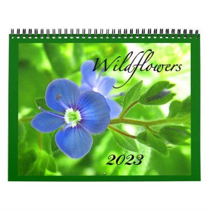 Wildflowers 2023 Calendar