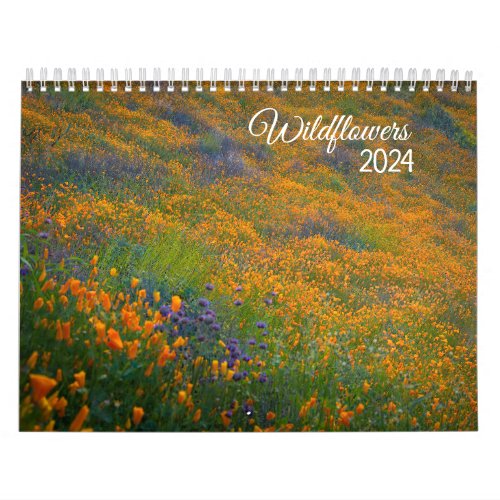 Wildflowers 2024 Calendar